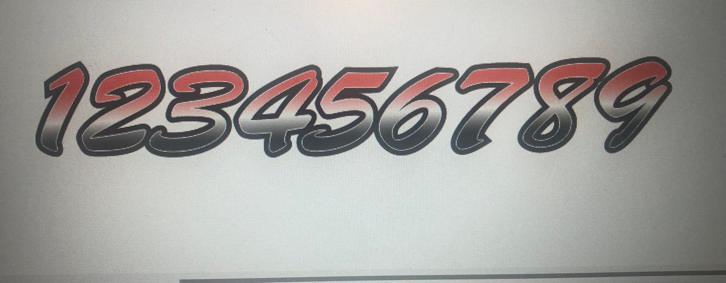 Snowmobile registration numbers